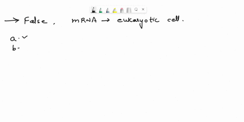 biology-question-1-part-one-which-statement-about-the-mature-mrna-of-a-eukaryotic-cell-is-false-a-it-contains-the-gene-regions-known-as-exons-b-it-is-made-in-the-nucleus-but-then-exits-the-n-44652