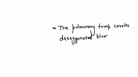 according-to-the-great-vessels-all-are-false-except-a-the-right-lymphatic-duct-drains-all-lymph-of-body-except-right-side-head-and-neck-right-upper-limb-and-right-side-chest-b-descending-aorta-has-no