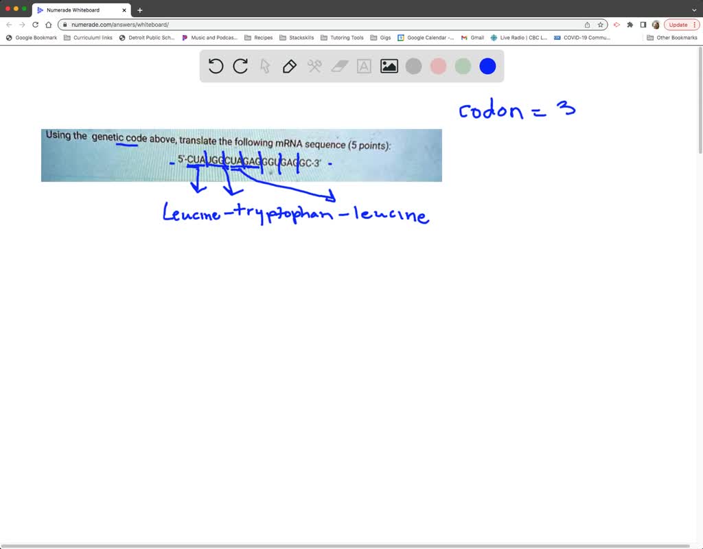 Solved using the genetic code above translate the following mrna