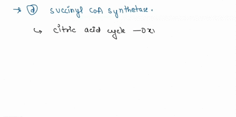 which-enzyme-of-the-citric-acid-cycle-yields-compound-with-high-phosphoryl-transfer-potential-citrate-synthase-isocitrate-dehydrogenase-a-ketoglutarate-dehydrogenase-succinyl-coa-synthetase-50114