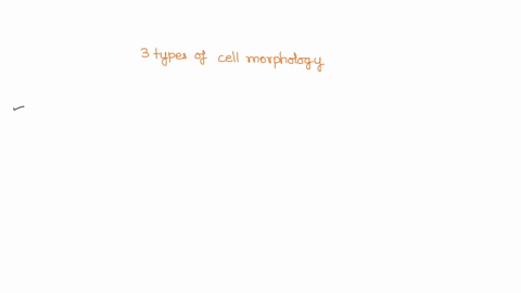 a-micrograph-of-the-gram-staining-is-presented-below-for-this-exercise-the-final-cell-color-is-irrelevant-find-and-abel-on-the-image-itself-three-3-types-of-cell-morphology-that-you-observe-17403