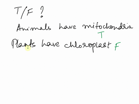 is-this-statement-true-or-false-animal-cells-have-mitochondria-plant-cells-have-chloroplasts-expla-3-04987