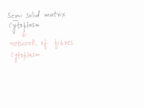 what-do-call-the-semi-solid-matrix-to-cytoplasm-77364