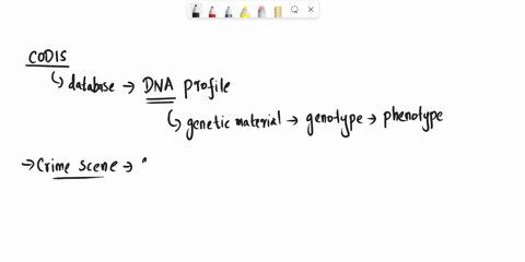 codis-combined-dna-index-sys-em-dazabaze-that-contains-dna-profiles-from-all-of-ne-followinz-except-peopi-convicted-ofcerain-crimes-unidentified-renains-crime-scene-evidence-public-servants-43267