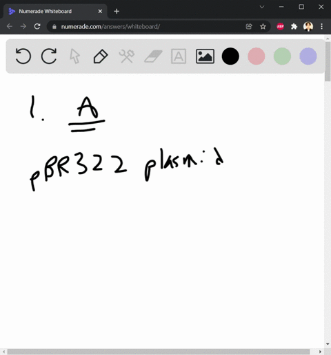 regarding-pcr-which-of-this-is-an-important-characteristic-of-a-good-cloning-vector-ahave-selectable-markers-including-resistance-genes-for-antibiotics-bbe-very-large-in-size-cdo-not-have-an-41425