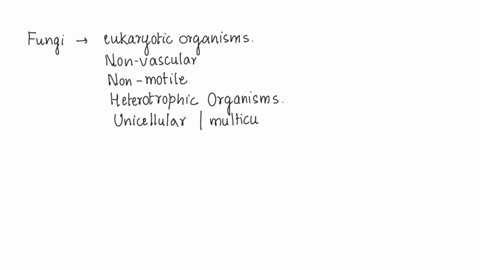 which-is-a-unicellular-fungus-a-slime-mold-b-mushroom-c-yeast-d-none-of-these-38078