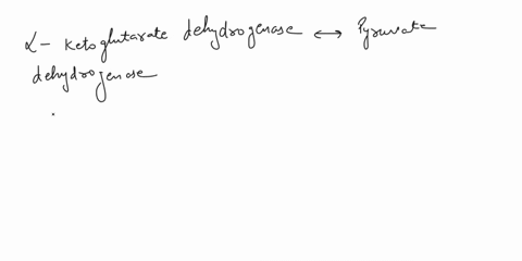 which-of-the-following-enzymes-possesses-catalytic-mechanism-extremely-similar-to-that-of-the-pyruvate-dehydrogenase-complex-the-succinate-dehydrogenase-the-isocitrate-dehydrogenase-the-mala-73348