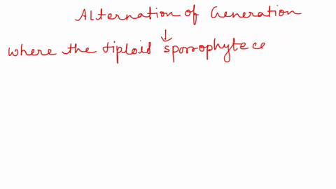 in-the-alternation-of-generations-lifecycle-in-plants_-a-meiosis-and-syngamy-both-occur-b-there-is-a-diploid-multicellular-phase-sporophyte-and-haploid-multicellular-phase-gametophyte-c-the-84348