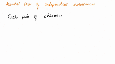 which-of-mendels-laws-is-represented-by-each-statement-a-alleles-of-each-pair-of-homologous-chromoso-59931