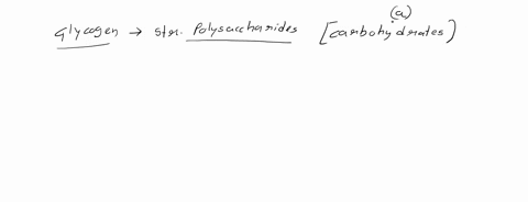 18-are-stored-in-the-form-of-glycogen-in-the-liver-and-muscle-cells-1-point-carbohydrates-lipids-proteins-d-nucleic-acids-aandb-55504