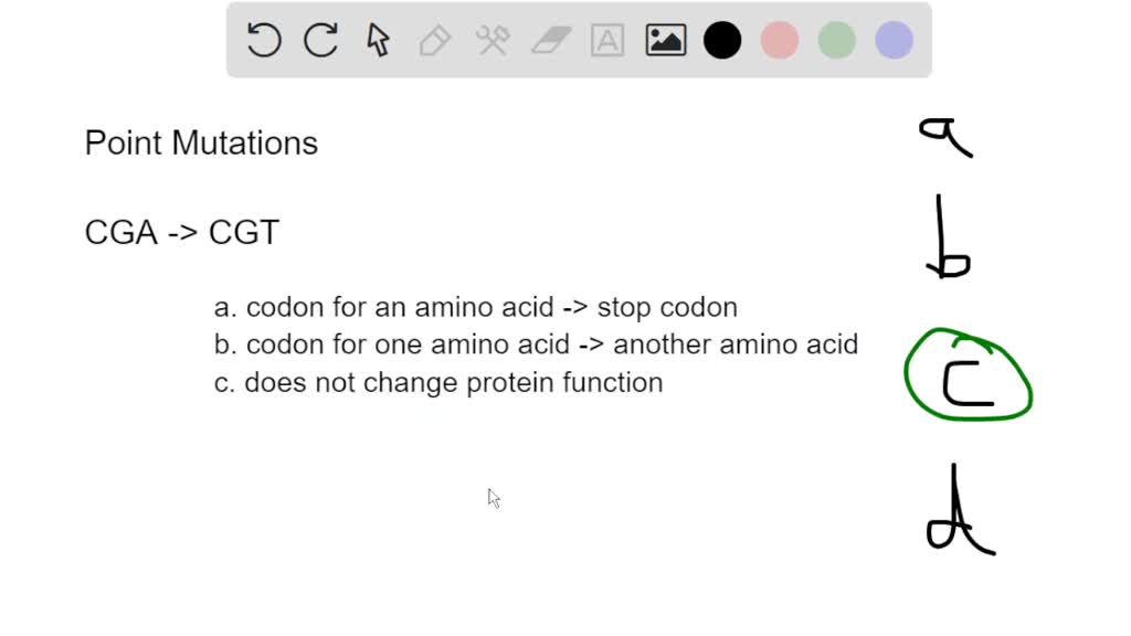 A Point Mutation Changes The Dna Sequence Cga To Cgt