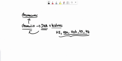 what-are-core-and-linker-dna-73348