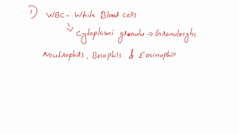 1-white-blood-cells-that-contain-cytoplasmic-granules-include-the-neutrophils-___-and-eosinophils-and-are-categorized-as-a-erythrocytes-b-basophils-c-monocytes-d-lymphocytes-2-all-of-the-fol-64784
