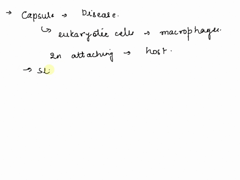 true-or-false-the-thinner-the-capsule-the-harder-it-is-for-your-immune-system-to-eliminate-a-bacterial-pathogen-41958