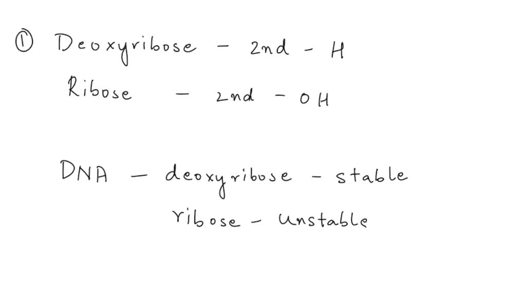SOLVED Explain how these chemical differences between RNA and DNA are