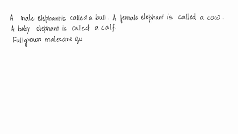 at-which-ages-do-male-elephants-outnumber-female-elephants-according-to-the-diagram-3-i-anenucrebeanuanh-mde-lu-1-0-19-9-74d-39-499-10-9-7-6-6-4-3-1-0-1-2-5-677-8-9-i0-mumber-of-indluavals-a-50575