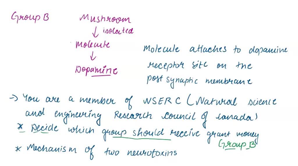 SOLVED: At the level of the brain, Parkinson'disease is categorized by ...