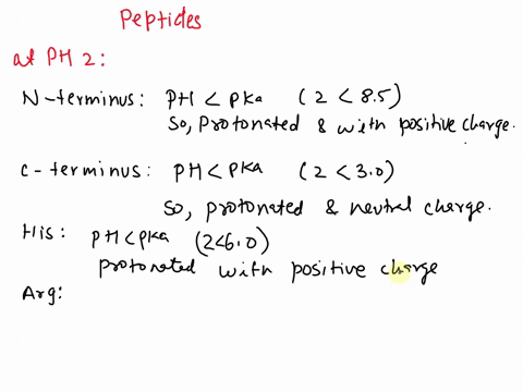consider-the-following-peptide-his-ser-arg-tyr-1-what-is-the-approximate-net-charge-of-this-peptide-at-ph-2-and-ph-10-pka-values-n-terminus-85-c-terminus-30-his-60-arg-125-show-all-work-2-es-43403