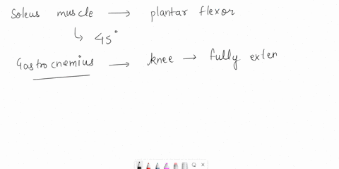 question-32-which-of-these-muscles-is-the-most-effective-plantar-flexor-with-the-knee-flexed-45-degrees-soleus-gastrocnemius-flexor-digitorum-longus-tibialis-posterior-35944