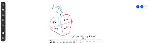 what-is-one-advantage-of-a-four-chambered-heart-over-a-three-chambered-heart-a-oxygenated-blood-carried-by-the-right-side-of-the-heart-is-completely-separated-from-the-left-side-carrying-deoxygenated-