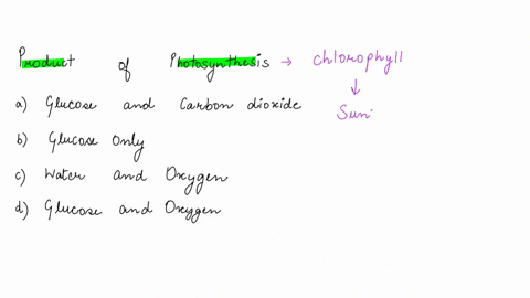 the-products-of-photosynthesis-are-which-of-the-following-multiple-choice-glucose-and-carbon-dioxide-glucose-only-water-and-carbon-dioxide-water-and-oxygen-glucose-and-oxygen-44184