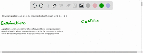 how-many-peptide-bonds-are-in-the-following-structural-formula-a-2-b-3-c-4-d-5-49566