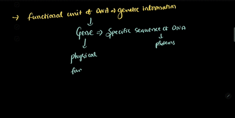 the-functional-unit-of-dna-that-carries-genetic-information-is-called-_______-a-chromosome-b-nucleosome-c-genes-d-chromatin-43728