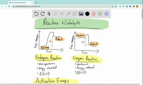 a-catalyst-speeds-up-endergonic-and-exergonic-reactions-by-heightening-the-activation-energy-true-or-false-true-false-54641