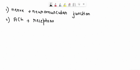 explain-how-calcium-ions-stimulate-muscle-contraction-and-relaxation-78181