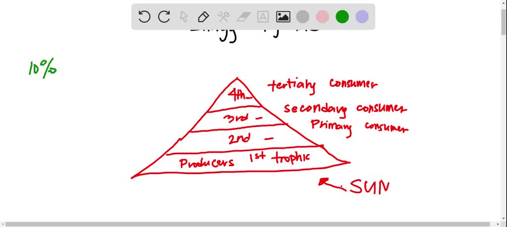 SOLVED: '36. How are animals adapted to living in this environment? 37