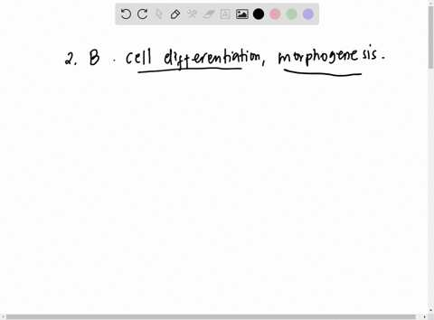 2-during-embryo-development-the-process-of-cell-specialization-is-_____________-and-the-process-of-developing-an-organisms-form-or-structure-is-____________-a-adaptive-radiation-the-transcri-42687