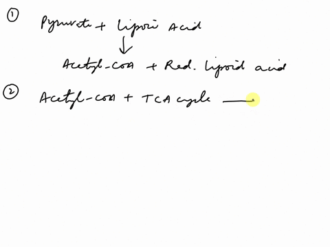 12a-patient-on-a-of-atp-regular-citrate-lyase-dose-of-statins-biosynthesis-that-generates-she-eaceduced-levels-of-cholesterol-acetyl-coa-needed-ondoge-due-to-the-suppression-enous-cholestero-19329