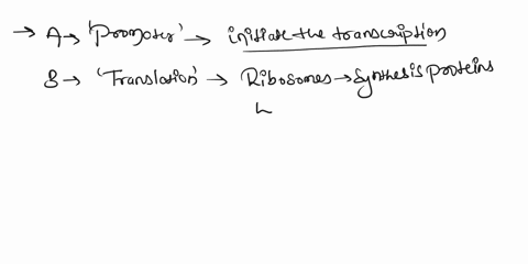 gene-jene-2-pick-the-correct-term-for-the-labels-provided-sclect-select-promotcr-translation-transcription-transcription-tcrminator-start-codon-stop-codon-jlicl-select-sclect-_-90032