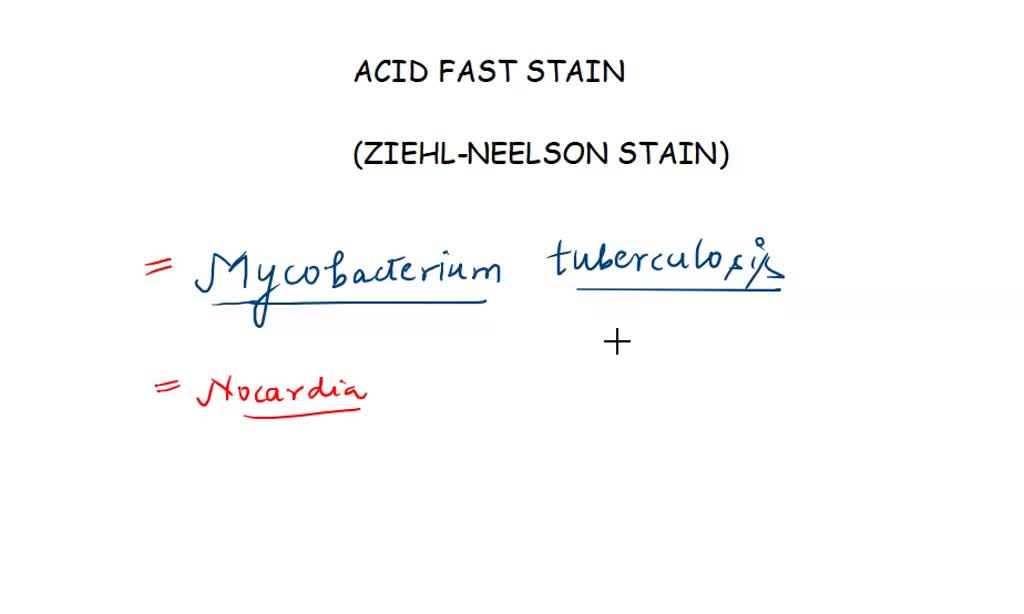 SOLVED: The simple staining method that uses a single acidic or basic ...