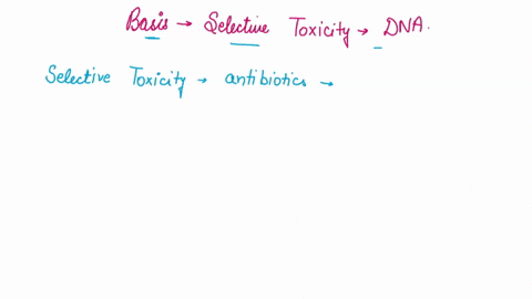 what-is-the-basis-of-selective-toxicity-in-inhibiting-dna-synthesis-cell-wall-synthesis-and-protein-synthesis-and-inhibiting-anaerobic-electron-transport-77744