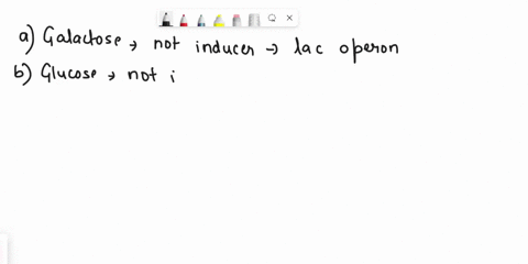 which-of-the-following-molecules-is-an-inducer-of-the-lac-operon-a-galactose-d-isothiocyanate-b-gluc-20467
