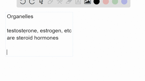organelle-where-sex-hormones-are-manufactured-a-nucleus-b-cell-membrane-crlbosomes-d-cytoplasm-smooth-er-f-central-vacuole-gchloroplasts-hcell-wall-rough-er-mitochondria-k-golgi-apparatus-l-15065