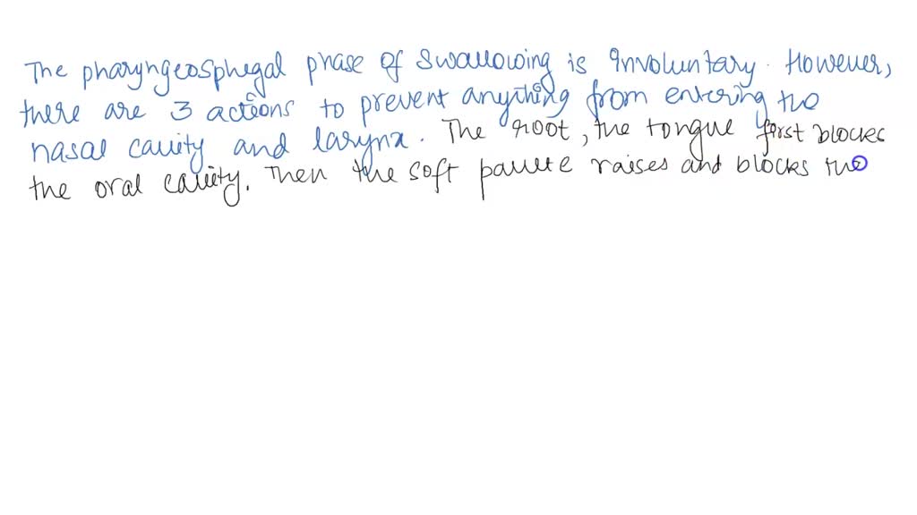 SOLVED: What structure keeps food from entering the larynx during ...