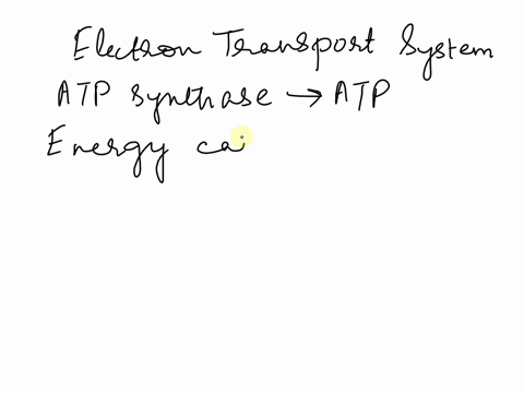 atp-synthase-attaches-a-phosphate-group-to-adp-forming-atp-this-process-requires-energy-the-energy-is-provided-by-electron-carrier-molecules-in-the-electron-transport-system-that-pump-______-8442