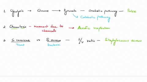 truefalse-because-glycolysis-prod-uces-pyruvate-glycolysis-an-anabolic-pathway-true-false-which-metabolism-better-equipped-to-support-chemotaxis-aerobic-respiration-anaerobic-respiration-aer-77335