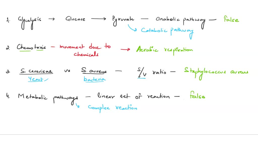 Which Of The Following Is True Of Anabolic Reactions SOLVED: METABULISM UVEKVIEW: Classify each of the following statements