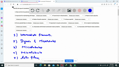 identify-the-type-of-cytoskeleton-described-by-each-statement-1-does-not-form-by-polymerization-of-a-particular-subunit-choose-your-answer_-2-found-in-cilia-and-flagella-choose-your-answer-3-57262