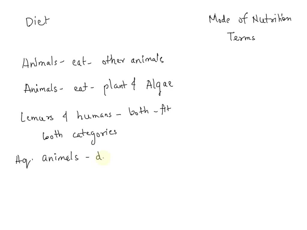 SOLVED Jing Vocabulary Diet Categories and Feeding Mechanisms Drag