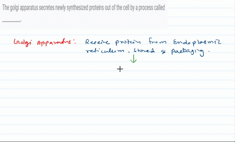 the-golgi-apparatus-secretes-newly-synthesized-proteins-out-of-the-cell-by-a-process-called-__________-25475