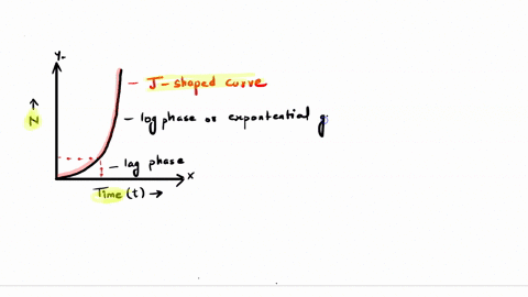 in-a-graph-of-population-size-versus-time-a-j-shaped-curve-is-characteristic-of-a-exponential-popu-4-77684