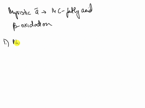 28-31-apts-myristic-acid-is-a-14-carbon-saturated-fatty-acid-myristoleic-acid-is-a-14-carbon-monounsamirated-tatty-acid_-how-many-cycles-of-beta-oxidation-are-required-to-break-down-one-mole-48722