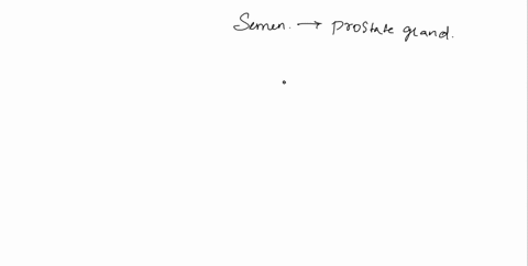 what-are-the-components-of-semen-79735