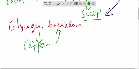 epinephrine-initiates-a-signal-transduction-pathway-that-produces-cyclic-amp-camp-and-leads-to-the-2-68053