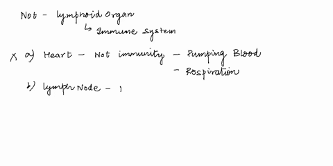 which-ol-the-following-is-not-considered-a-lymphoid-organ-or-tissue-multiple-choice-heart-lymph-node-thymus-bonemarrow-spleen-60565