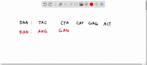 the-following-dna-sequence-is-part-of-a-gene-below-the-dna-sequence-perform-the-process-of-transcription-show-your-work-and-consult-the-genetic-code-chart-below-to-determine-what-sequence-of-69767